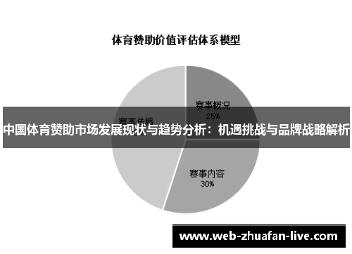 中国体育赞助市场发展现状与趋势分析：机遇挑战与品牌战略解析